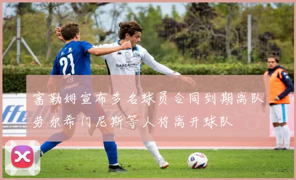 富勒姆宣布多名球员合同到期离队劳尔希门尼斯等人将离开球队