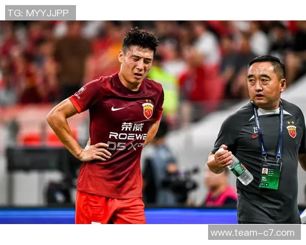 中超球员身价最新排名米特里策领衔蒋圣龙大幅上涨武磊身价下滑至50万